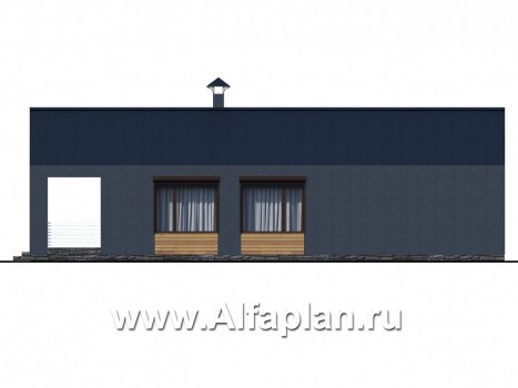 Проекты домов Альфаплан - «Тета» - одноэтажный дом с фальцевыми фасадами и кровлей - превью фасада №2