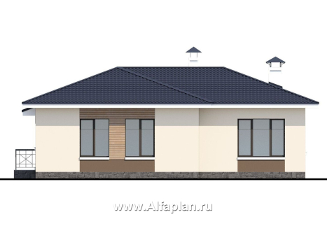 Проекты домов Альфаплан - «Теплый очаг» - экономичный одноэтажный дом - превью фасада №4